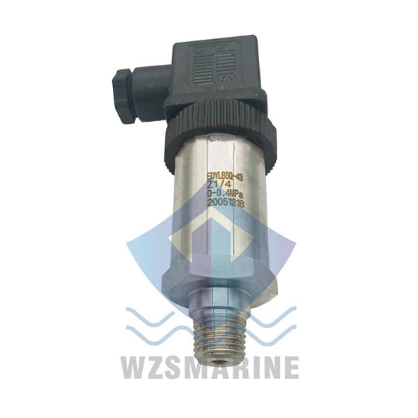 Jiangsu Haian Enda ED pressure sensor EDYLBSQ-43/Z1/4