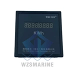 WDLYCH Ship Instrument Electricity Meter Ship Electricity Meter