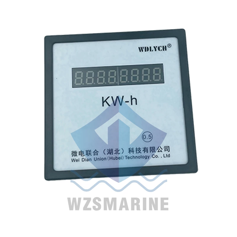 WDLYCH Ship Instrument Electricity Meter Ship Electricity Meter